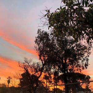 Meet your Posher, Calee